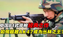 81视频,揭秘热门话题背后的真相与观点